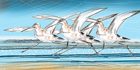 Birds by Stuart Roy art print