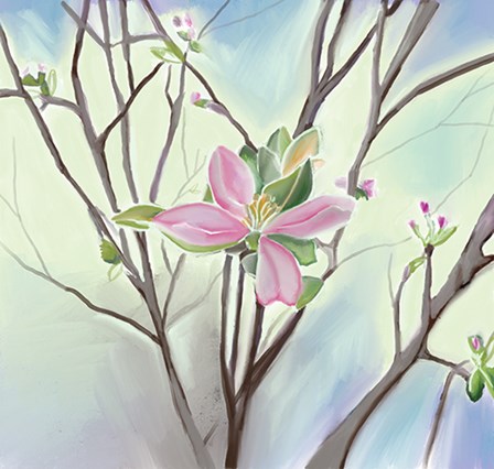 Flower by Anne Seay art print