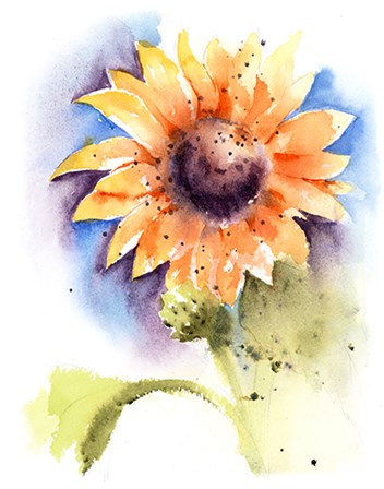 Sunflower I by Olga Shefranov art print