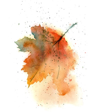 Fall Leaves II by Olga Shefranov art print