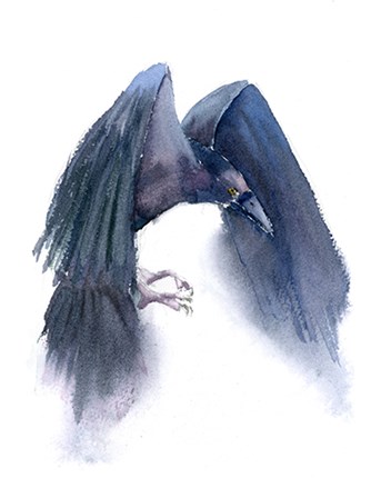 Crow III by Olga Shefranov art print