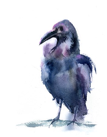 Crow IV by Olga Shefranov art print