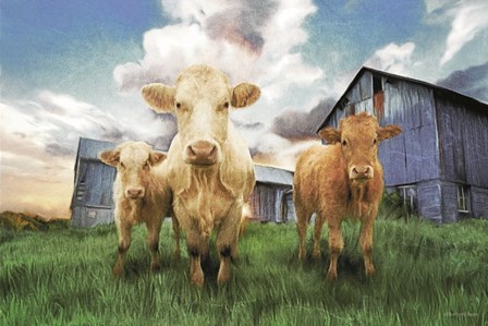 Three Curious Calves by Bluebird Barn art print