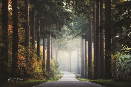 Mysterious Roads by Martin Podt art print