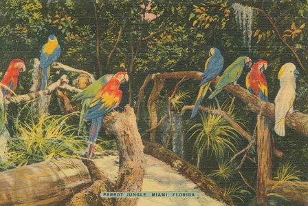 Florida Postcard II by Wild Apple Portfolio art print