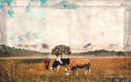 Vintage Grazing Cattle by Bluebird Barn art print