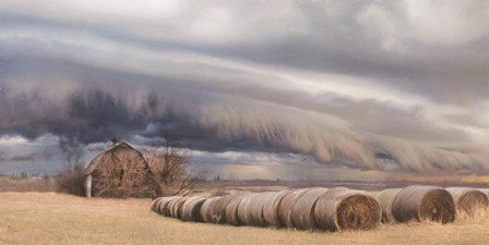 Tornado Warning by Lori Deiter art print