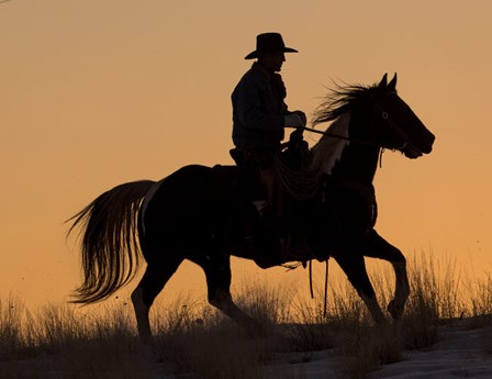 Cowboy Riding His Horse Winters Snow Silhouetted At Sunset by Darrell Gulin / Danita Delimont art print