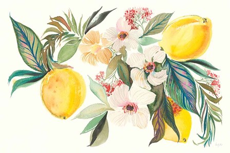 Citrus Summer I by Kristy Rice art print