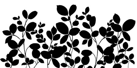 Leafy Grove by Wild Apple Portfolio art print