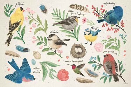 Bird Study I by Janelle Penner art print