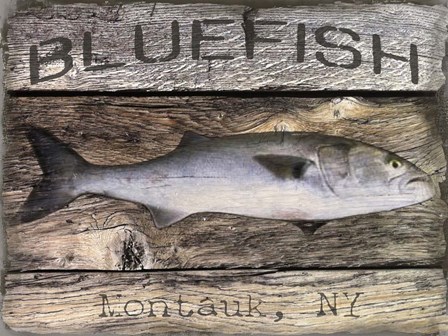 Bluefish by Graffitee Studios art print