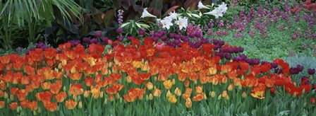 Close-Up Of Flowers In A Garden, Botanical Garden Of Buffalo, New York by Panoramic Images art print