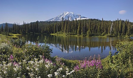 Reflection Of A Mountain And Trees In Water, Mt Rainier National Park, Washington State by Panoramic Images art print