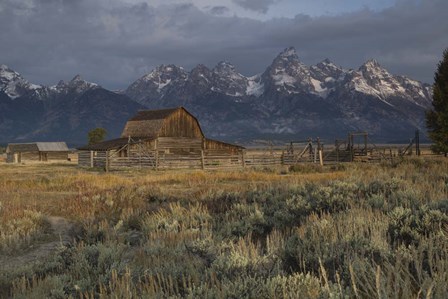 Barn In Grand Teton National Park, Wyoming by Panoramic Images art print
