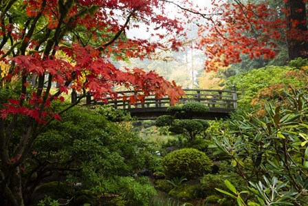 Autumn Leaves On Trees And Footbridge, Japanese Garden by Panoramic Images art print