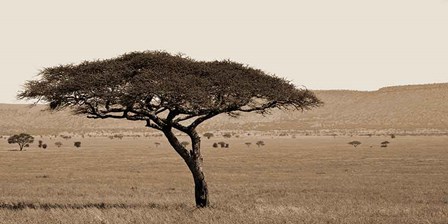 Serengeti Horizons I by Boyce Watt art print
