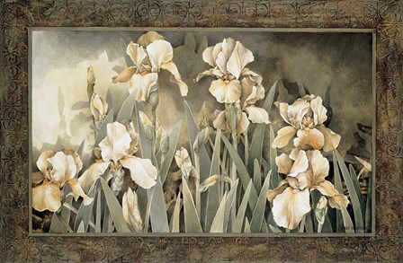 Field of Irises by Linda Thompson art print