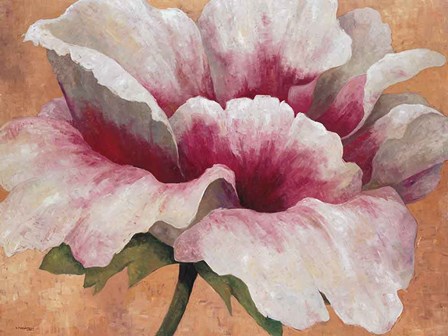 Pink Begonia by Maria Torrontegui art print