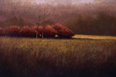 Young Maples by Simon Winegar art print