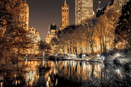 Central Park Glow by Assaf Frank art print