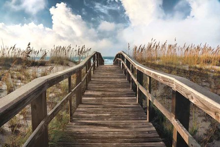 Path To Paradise by Michael Cahill art print