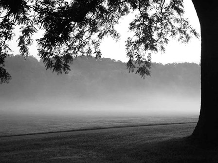 Fog in the Park I by Gary Bydlo art print