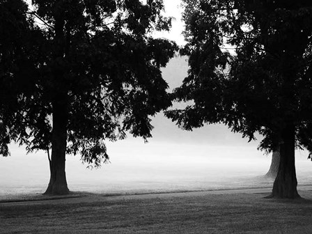 Fog in the Park II by Gary Bydlo art print