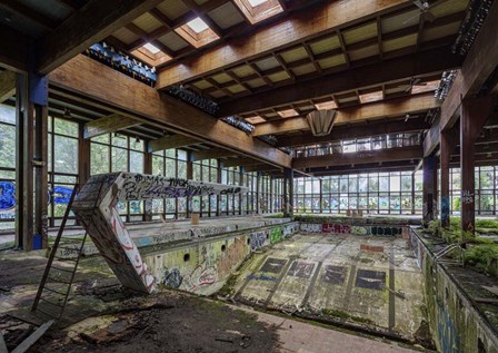 Abandoned Resort Pool, Upstate NY by Richard Berenholtz art print