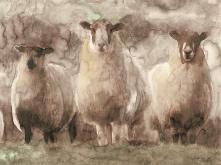 Three Sheep by Stellar Design Studio art print