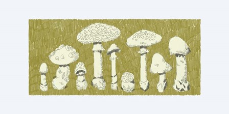Forest Fungi I by Jacob Green art print