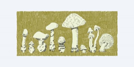 Forest Fungi II by Jacob Green art print