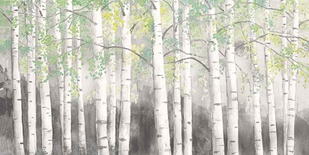 Soft Birches Charcoal by James Wiens art print