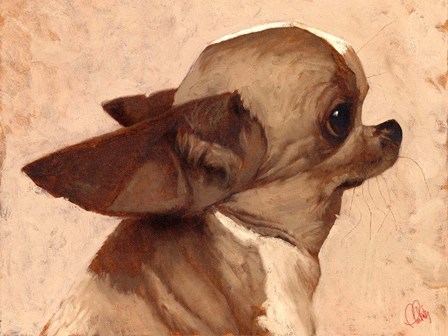 Profile-Chihuahua by Thomas Fluharty art print