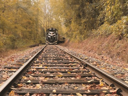 Great Smoky Mountains Railroad by Lori Deiter art print