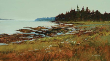 Coastal Maine by Roger Bansemer art print