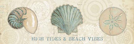 Beach Treasures VIII by Emily Adams art print