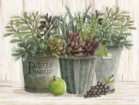 Farmer Market Succulent Harvest by Cindy Jacobs art print