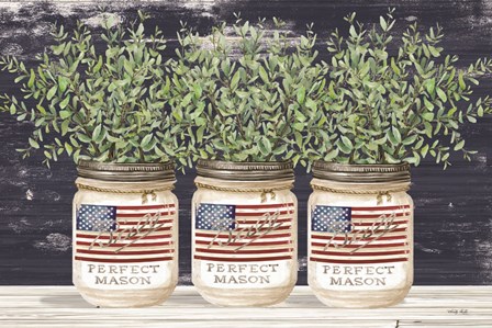 Patriotic Glass Jar Trio II by Cindy Jacobs art print