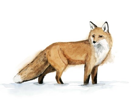 Snow Fox I by Grace Popp art print