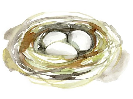 Watercolor Nest I by Jennifer Goldberger art print