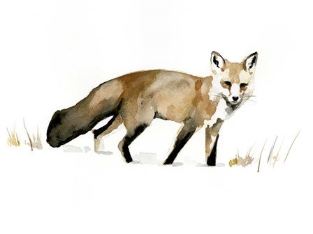 Winter Fox I by Victoria Barnes art print