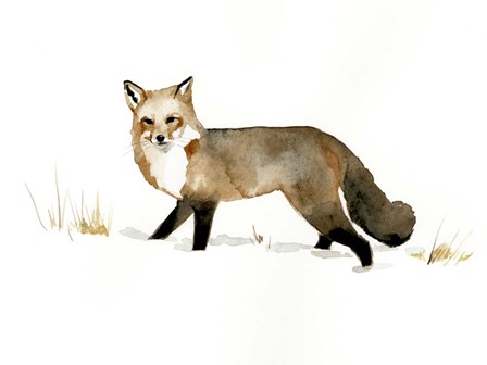 Winter Fox II by Victoria Barnes art print