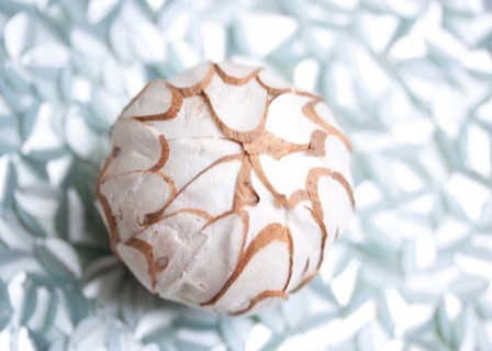 Shimmer Shells I by Susan Bryant art print