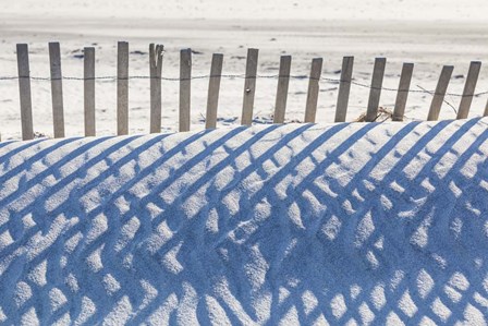 Sand Fence and Shadows by Walter Bibikow / Danita Delimont art print