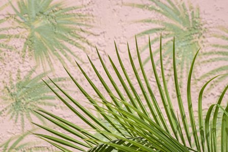Areca Palm In Front Of Painter Palm Mural by Lisa S. Engelbrecht / Danita Delimont art print