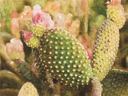 Cactus Flowers by Stellar Design Studio art print