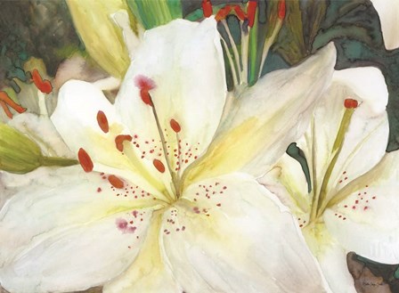 Macro Lilies by Stellar Design Studio art print
