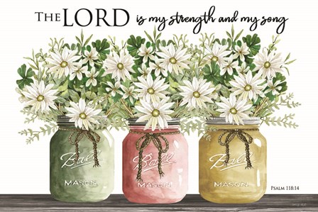 The Lord is My Strength by Cindy Jacobs art print