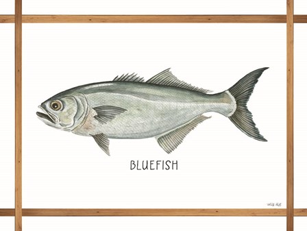 Bluefish on White by Cindy Jacobs art print